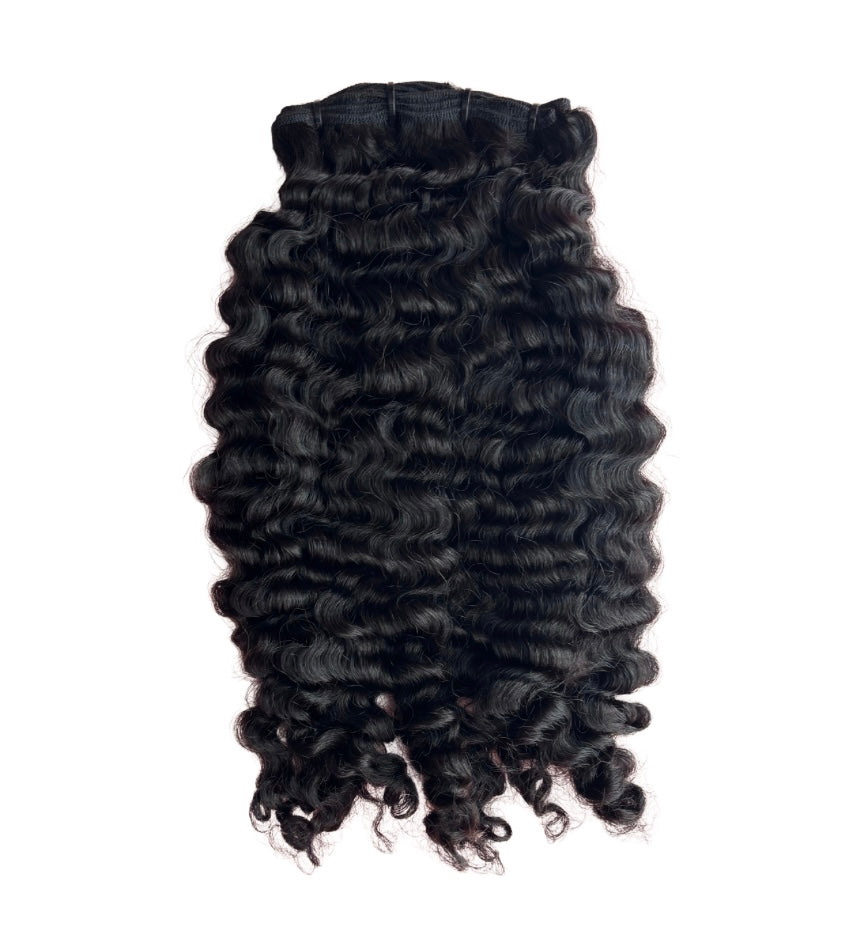 Burmese Curly