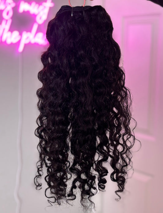 Raw Burmese Curly